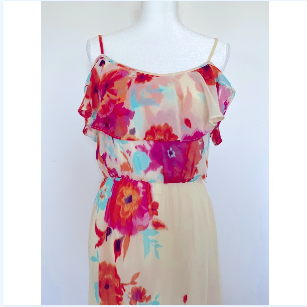 Bisou Bisou floor length floral painted dress, size 8